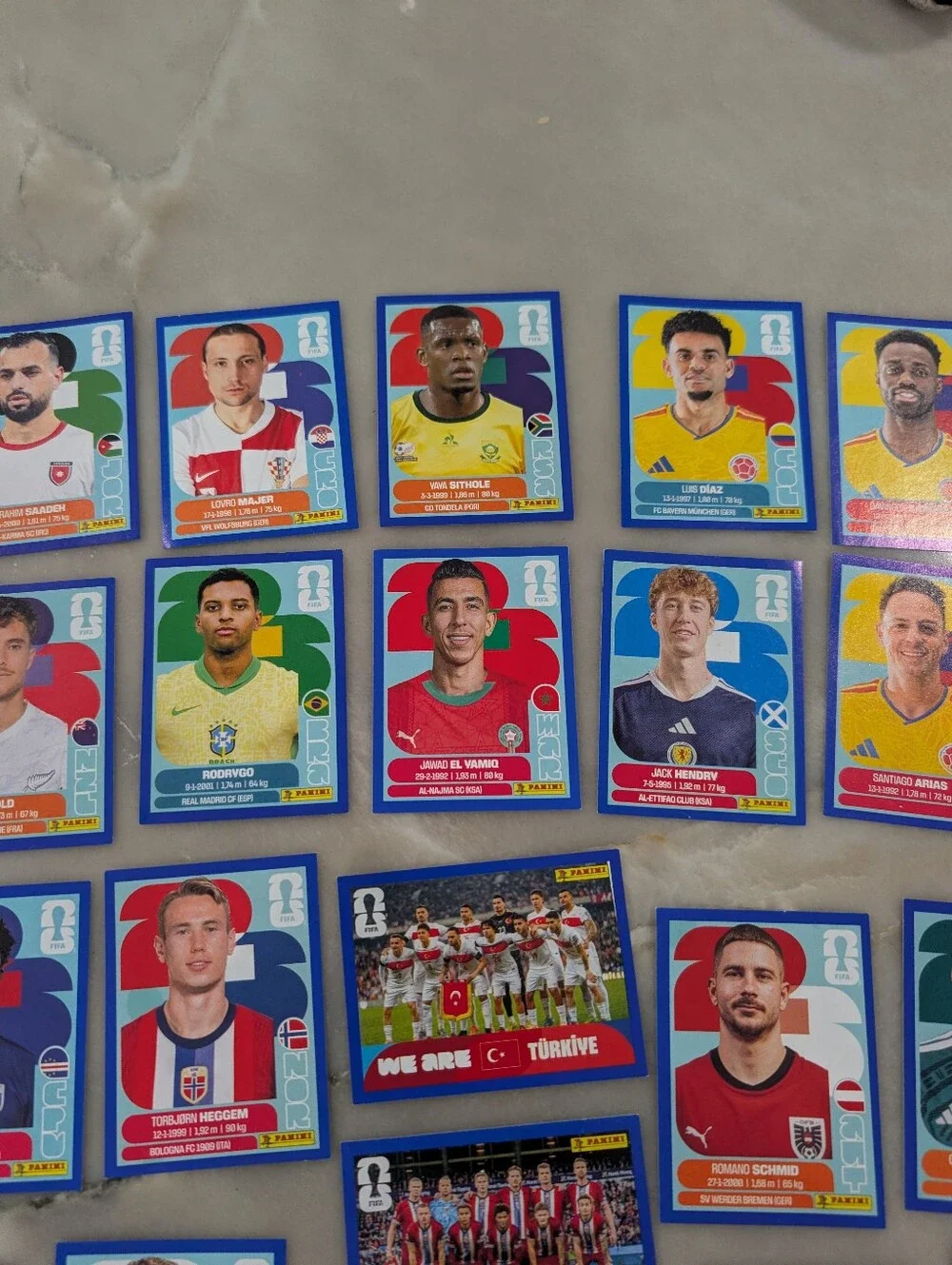 Panini fifa world